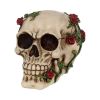 Rose From Beyond 15cm Skulls Back in Stock
