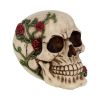 Rose From Beyond 15cm Skulls Back in Stock