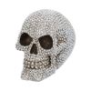 Priceless Grin 16cm Skulls Back in Stock