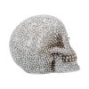 Priceless Grin 16cm Skulls Back in Stock