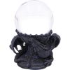Dragon Beauty Crystal Ball Holder (AS) 18cm Dragons Witchcraft and Wiccan Product Guide