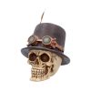 The Aristocrat 18.5cm Skulls Out Of Stock