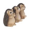 Three Wise Hedgehogs 9cm Animals Gifts Under £100