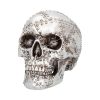 Rivet Head 19cm Skulls Skulls