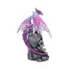 Loyal Defender 22.5cm Dragons Dragons