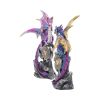 Realm Protectors (Set of 2) 15cm Dragons Dragon Figurines