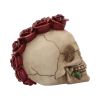 Rosehawk 16cm Skulls Skulls