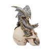 Steel Wing Skull 21cm Dragons Gifts Under £100