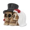 Together Forever 16cm Skulls Gifts Under £100