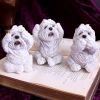 Three Wise Westies 8cm Dogs Out Of Stock