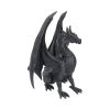 Black Wing 37cm Dragons Dragon Figurines
