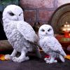 Snowy Watch Large 20cm Owls Gifts Under £100