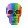 Rainbow 15.5cm Skulls Back in Stock