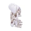 Three Wise Calaveras 20.3cm Skeletons Gifts Under £100