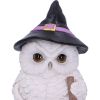 Snowy Magic 18cm Owls Gifts Under £100