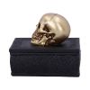 Celtic Opulence 11.8cm Skulls Gifts Under £100