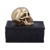 Celtic Opulence 11.8cm Skulls Gifts Under £100
