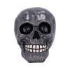 Holographic 16.5cm Skulls Sale Items