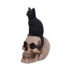 Familiar Fate 24.3cm Cats Gifts Under £100
