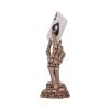 Ace Up Your Sleeve 18.4cm Skeletons Gifts Under £100