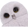 Feathers 12.5cm Owls Owls