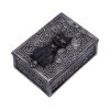 Familiar Spell Box 13.7cm Cats Gifts Under £100