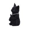 Cattitude 16.5cm Cats Coming Soon
