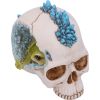 Crystal Cave Blue 16.5cm Skulls Skulls