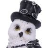Owlton 13.5cm Owls Last Chance to Buy