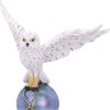 Magick Flight 23.5cm Owls Gifts Under £100