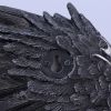 Dark Feather 55cm Owls Gifts Under £100