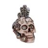 Strike a Chord 18cm Skulls Flash Sale Skulls & Gothic