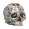 Fracture (Large) 16cm Skulls Sale Items