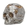 Fracture (Small) 11cm Skulls Sale Items