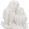 Love 9.8cm Owls Sale Items
