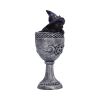 Coven Cup 15.7cm Cats Gifts Under £100