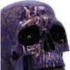 Indigo Elegance 18.5cm Skulls Gifts Under £100