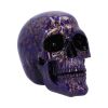 Indigo Elegance 18.5cm Skulls Gifts Under £100