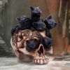 Cranial Litter 14cm Cats Back in Stock