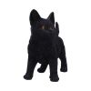 Charmed Companion 20cm Cats Gifts Under £100