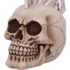 Four of a Kind 19cm Skulls Stock Release Spring 2024