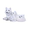 Pups Protection 20.5cm Wolves Gifts Under £100