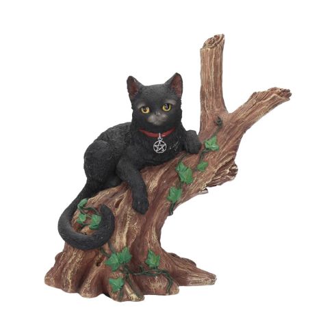 Onyx (NN) 14cm Cats Gifts Under £100