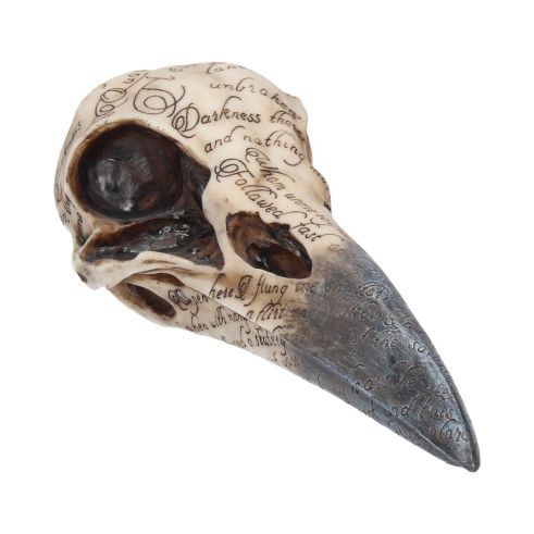 Edgar's Raven Skull 21cm Animal Skulls Gifts Under £100