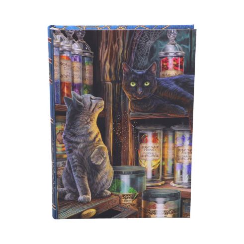 Magical Emporium Journal (LP) 17cm Cats Sale Items