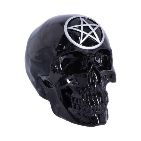 Black Magic 19.5cm Skulls Flash Sale Skulls & Dark