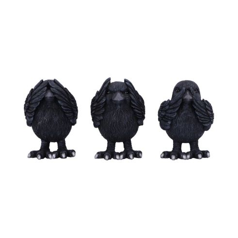 Three Wise Ravens 8.7cm Ravens Back in Stock
