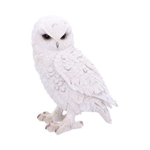 Snowy Watch Large 20cm Owls Gifts Under £100