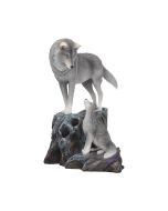 Guidance 25cm (LP) Wolves Out Of Stock