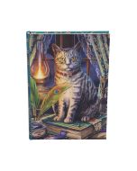 Book of Shadows Journal (LP) 17cm Cats Journals